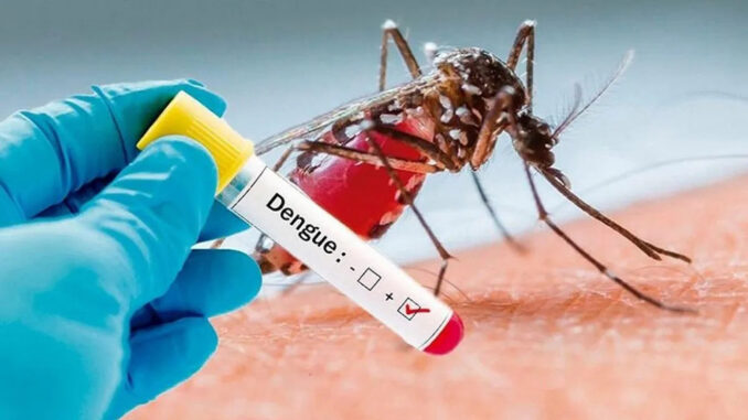 La Organización Mundial de la Salud alertó de que en 2023 ha observado un repunte de los casos de dengue en todo el mundo, con un aumento significativo del número y la aparición simultánea de múltiples brotes, que se han extendido a regiones anteriormente no afectadas por la enfermedad.