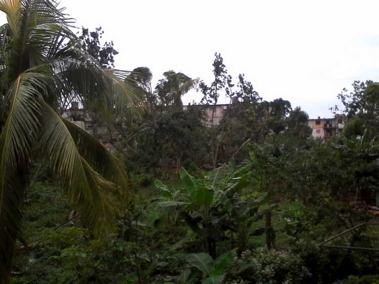 Rainy and cold weather in Sierra de Cubitas./Photo: Autor