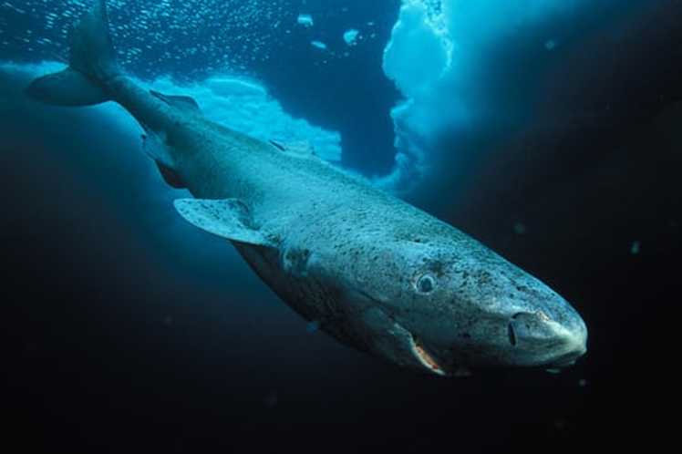 Photo: Cadenagramonte.