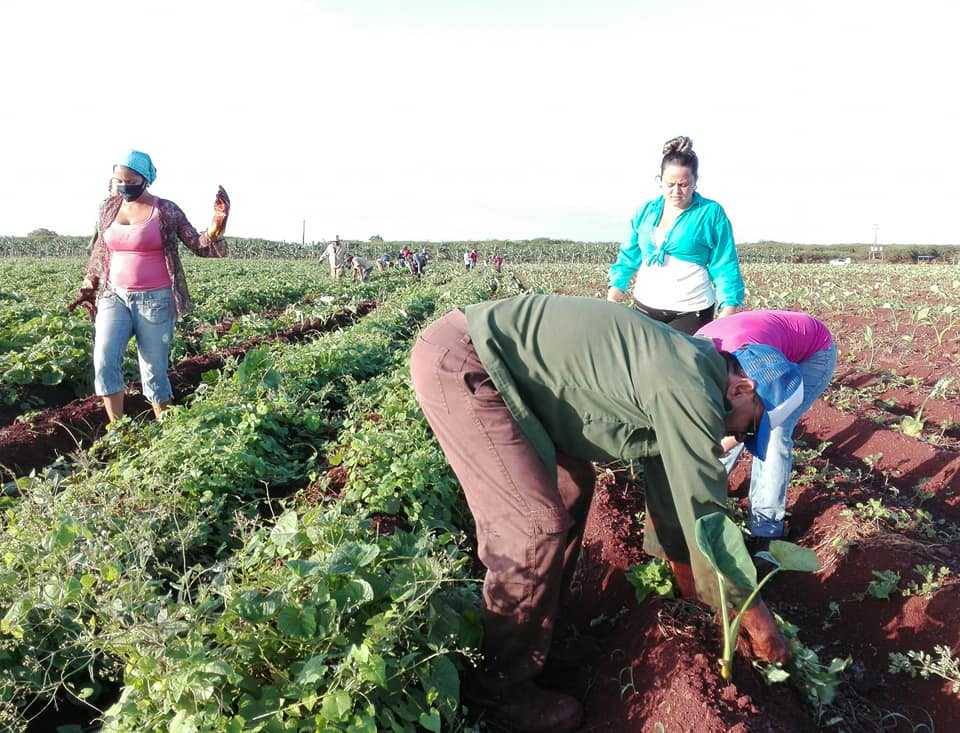 Los profesionales de la salud están ahí donde la patria los necesita.