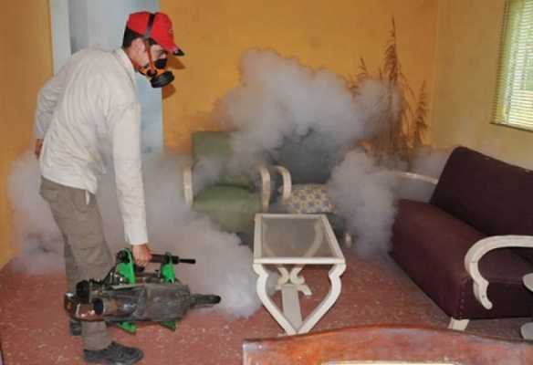 Fumigacion contra mosquitos/Foto: Cadenagramonte