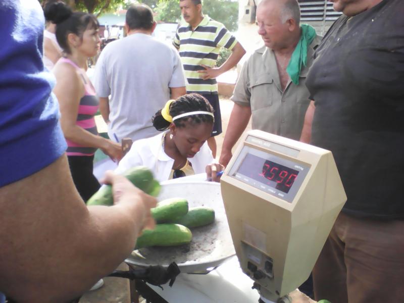 Feria agropecuaria/Foto: Miguel Ángel Quiroga Acosta