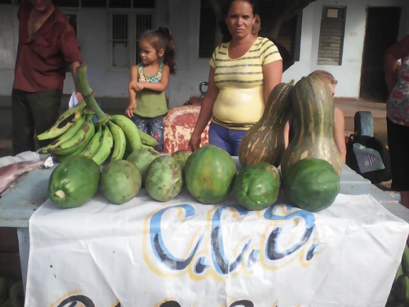 Oferta de productos del agro/Foto: Miguel Ángel Quiroga Acosta