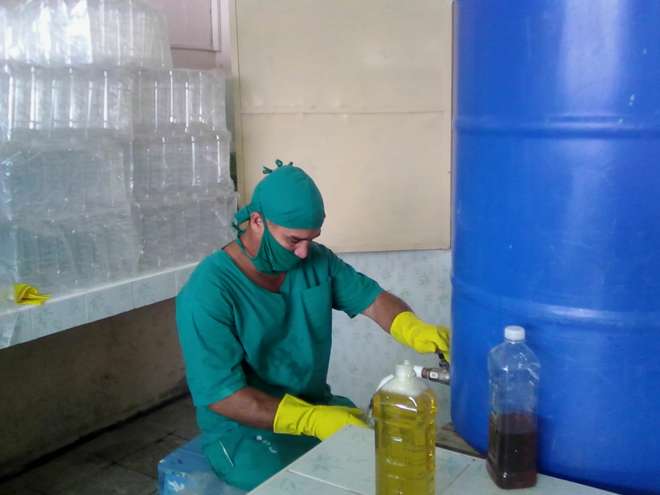 Jóvenes en producción de alimentos/Foto: Autora