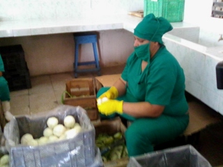 Féminas que aportan a la producción en la minindustria local/Foto: Autora
