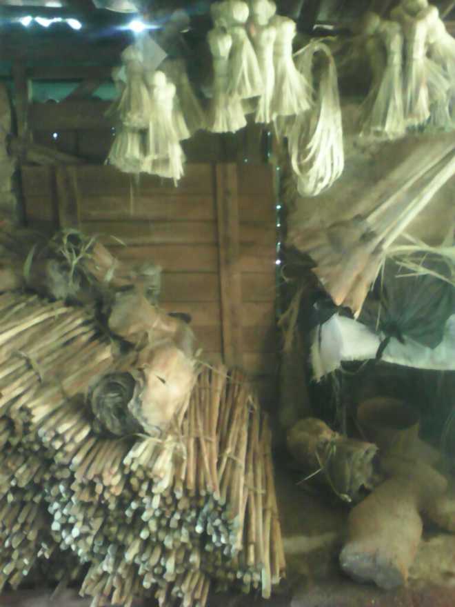 Materia prima para la confección de escobas