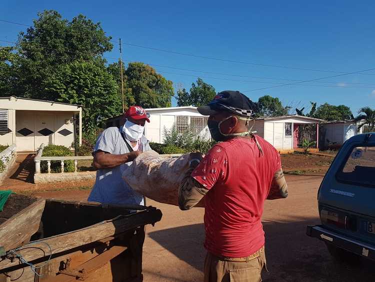 Campesino cubiteño que entrega donativo a centros sociales./Foto: Autora 