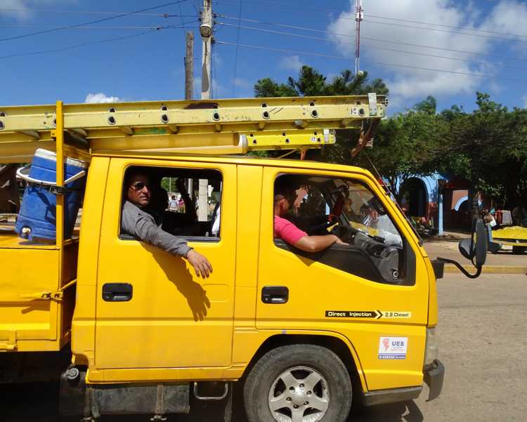 Brigada de apoyo para labores de poda de árboles.