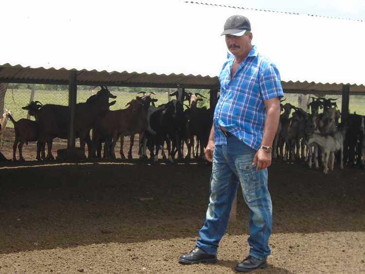 Campesino Isidoro Leyva con resultados en la producción de alimentos./Foto: Autora