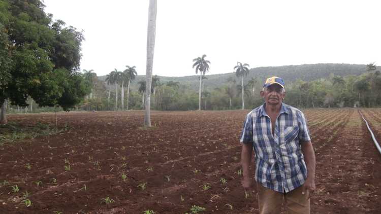 Campesino en Banao que abastece al Consejo Popular./Foto: Autora