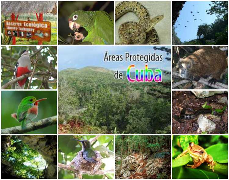 Foto: Autora