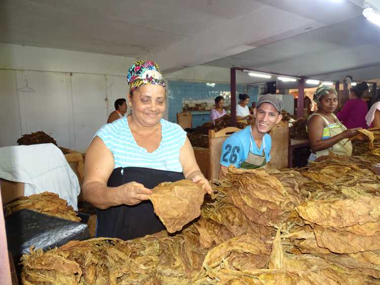 Consuelo Sánchez Leyva en plena faena laboral.