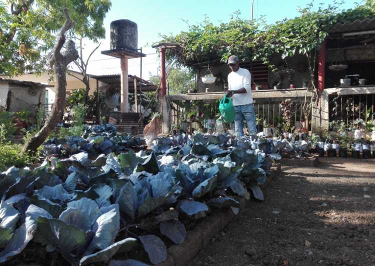 Ernesto Calero con patio de Referencia Provincial.