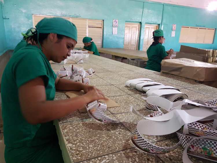 Féminas en Sierra de Cubitas vinculadas a la producción de alimentos./Foto: Autora