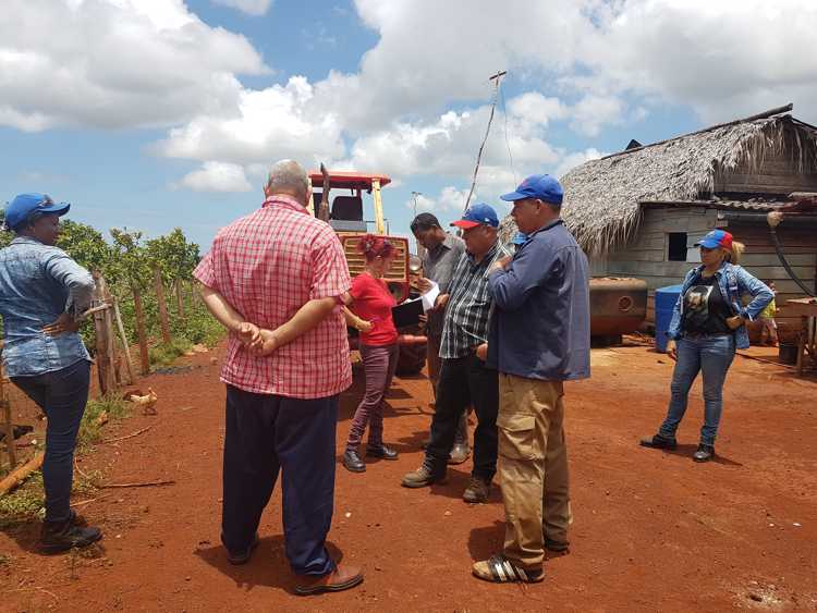 Finca  La Acacia en Corojo perteneciente a Uboc Mario Herrero Toscano.