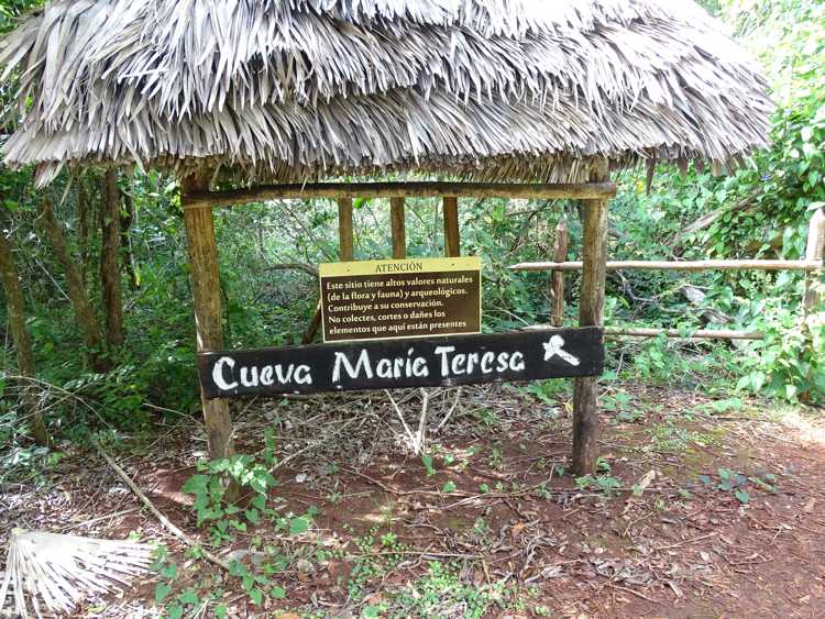 Identificación de la Cueva María Teresa.