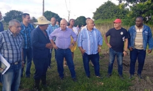 Agricultura en Camaguey