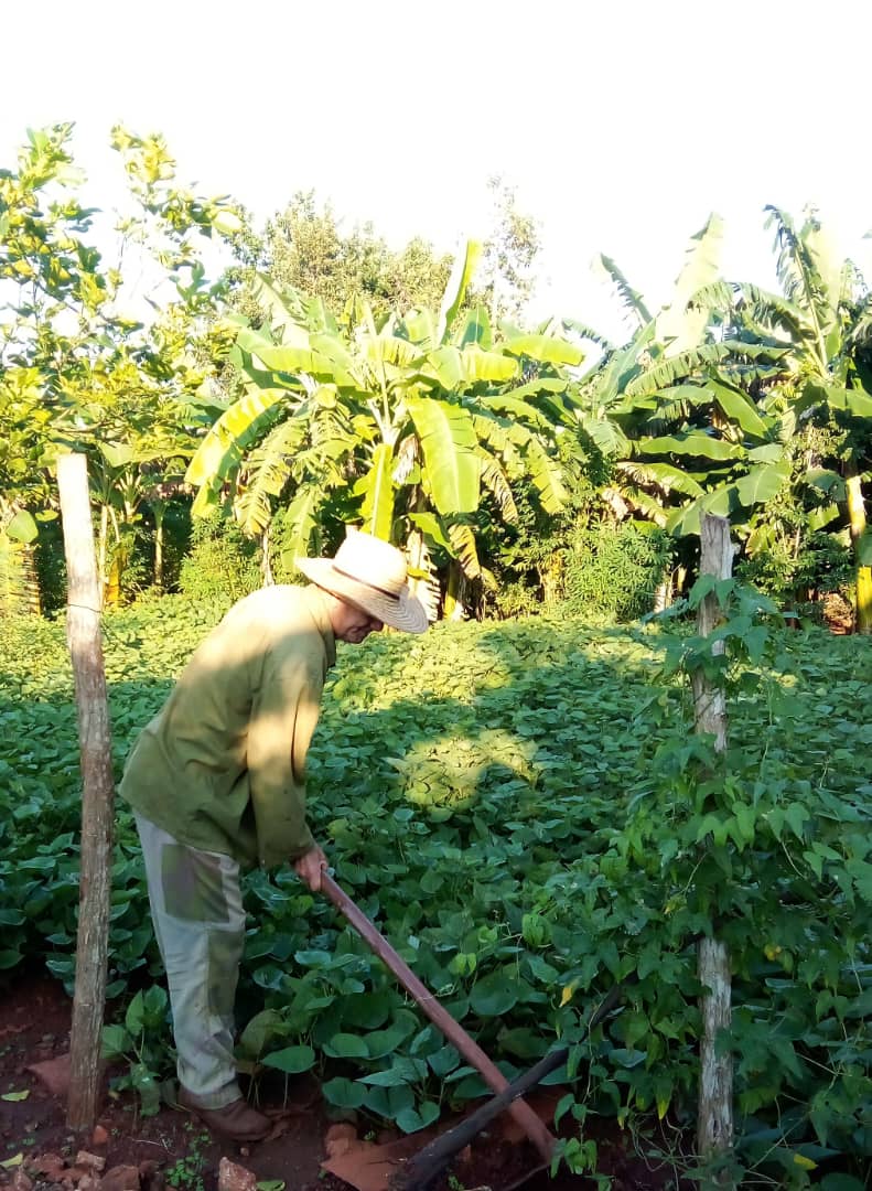 Campesino