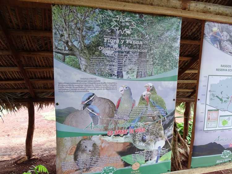 Información sobre Flora y Fauna protegida