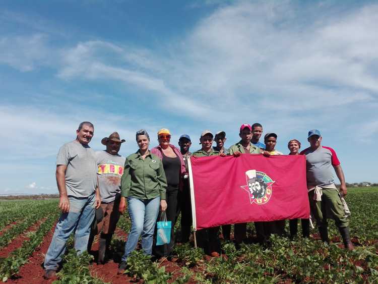 Trabajadores cubiteños acompañados del joven relevo en jornada de trabajo voluntario en tareas agrícolas.