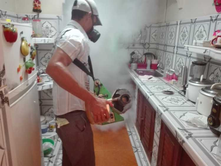 Labor  de los Operarios de la Camapaña Antivectorial en hogares./Foto: Autora