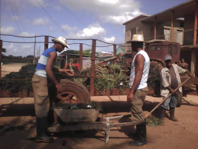Las Brigadas Técnicas Juveniles apoyan la limpieza de Puerto Piloto.