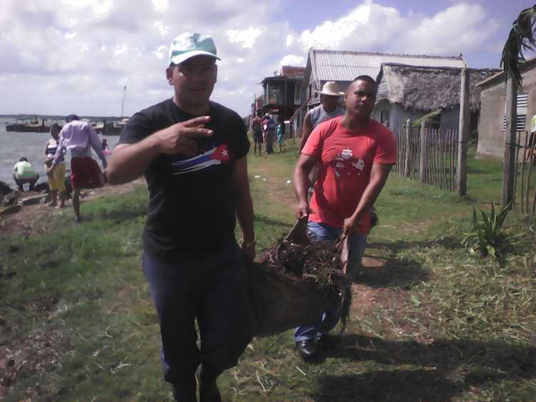 Limpieza de la zona costera de Puerto Piloto./Foto: Autora