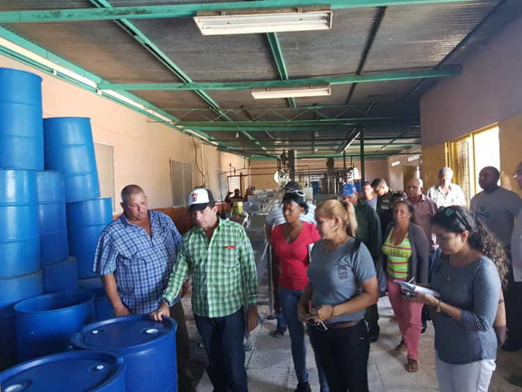 Minindustria El Tuabaquey destinada a la elaboración de Siropes, dulces en almíbar y encurtidos.