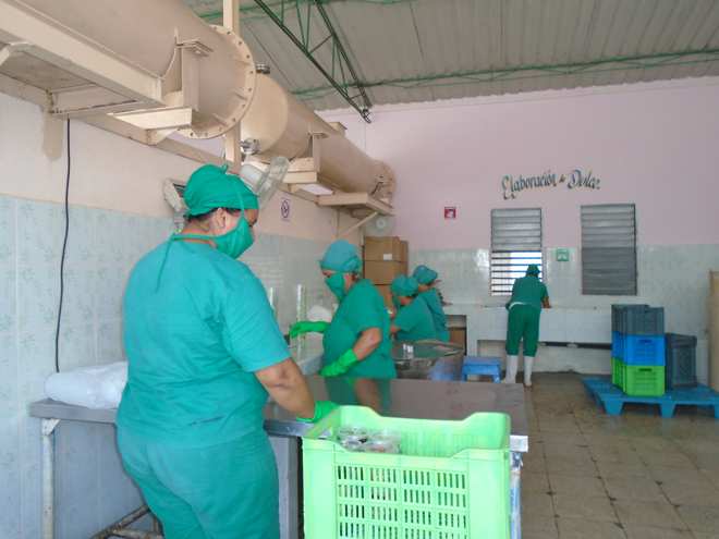 Minindustria de Frutales El Tuabaquey.