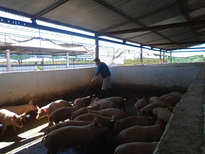 Obrero que mantiene higiene en centro productivo.