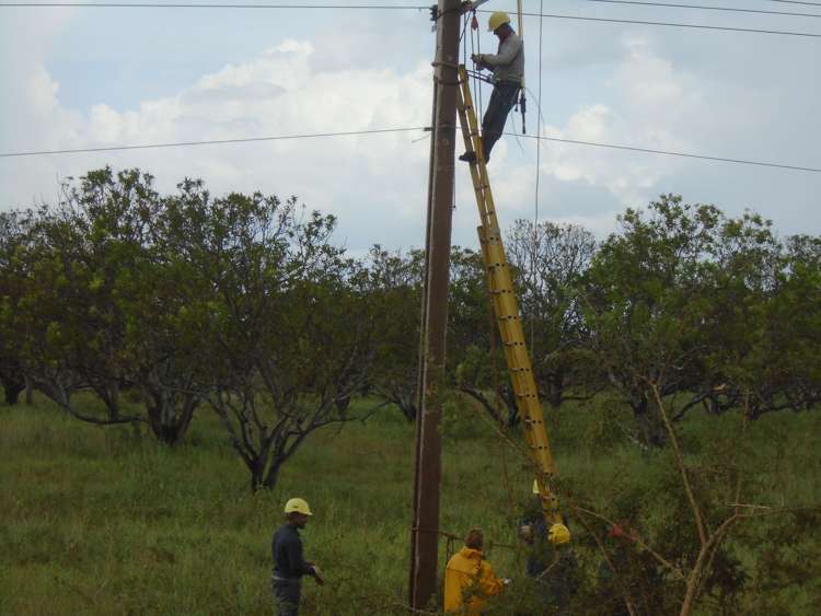 Obreros de la OBE laboran para restablecer servicio eléctrico.