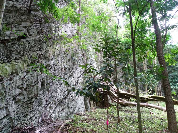 Paredes de rocas de origen cársico que dan nombre a Los Paredones.