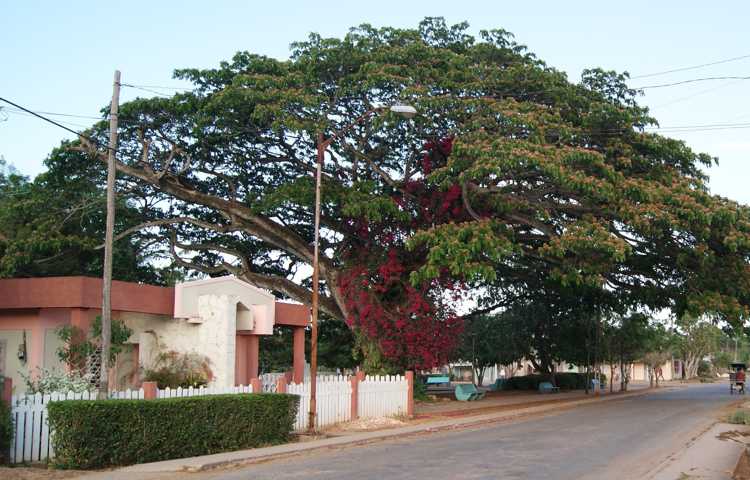 Parque José Martí de Sola.