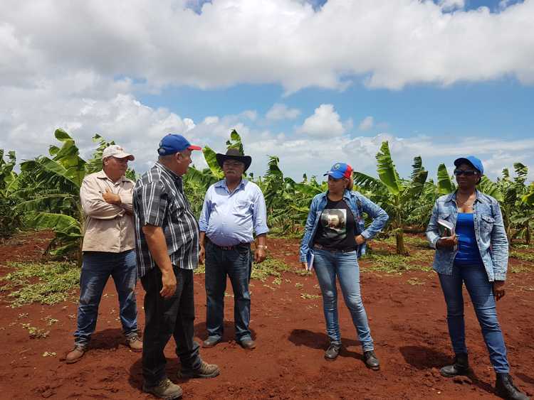 Principales autoridades de Sierra de Cubitas visitan área productiva en Imías.