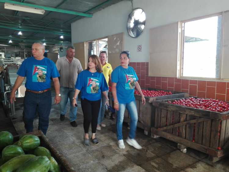 Recorrido por  Minindustria Tuabaquey.