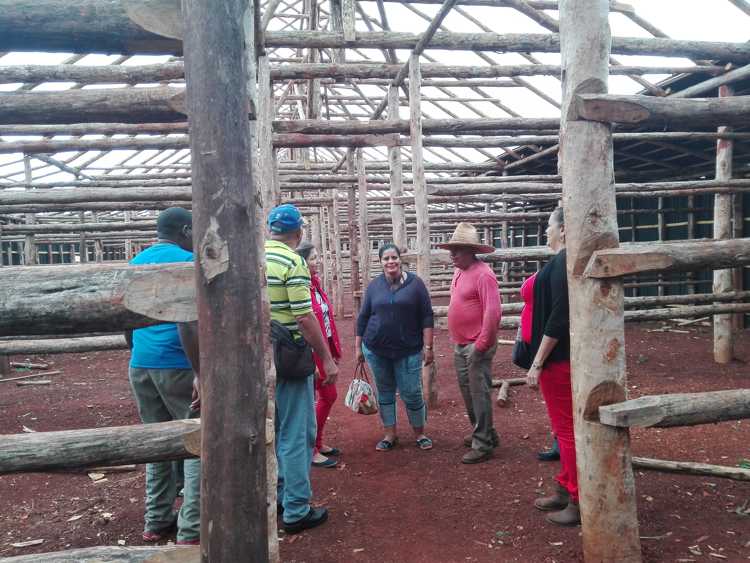 Recuperación de casa de curado de tabaco.