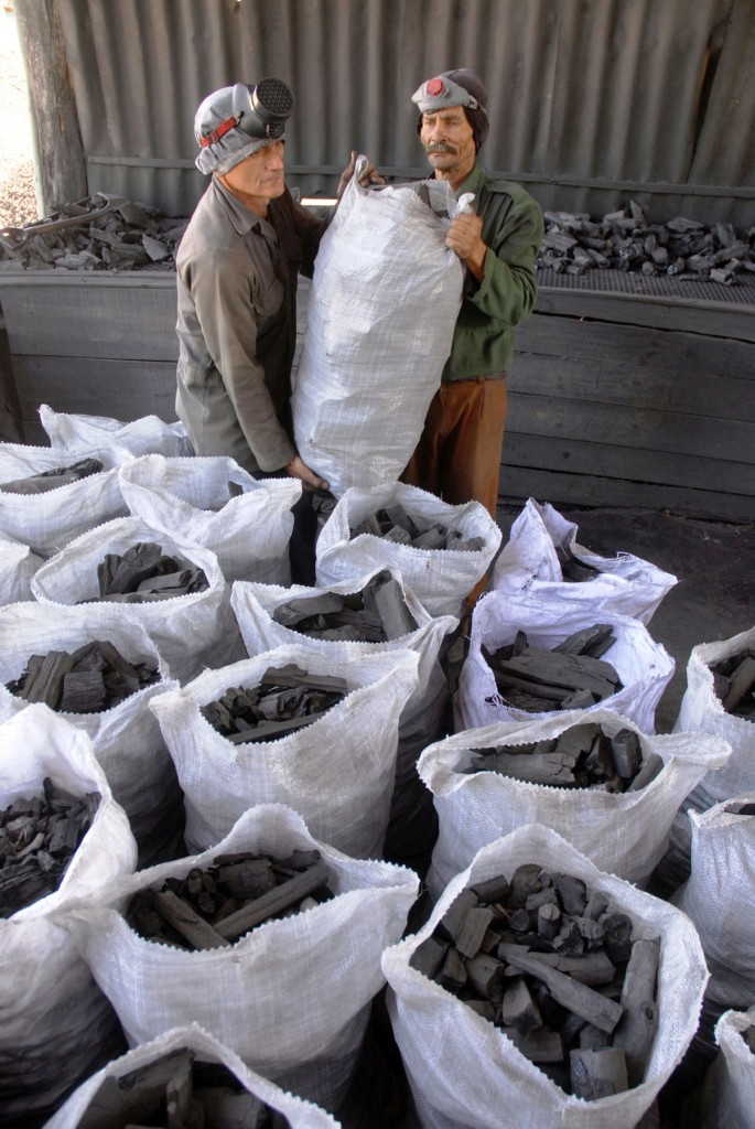 Foto: Trabajadores