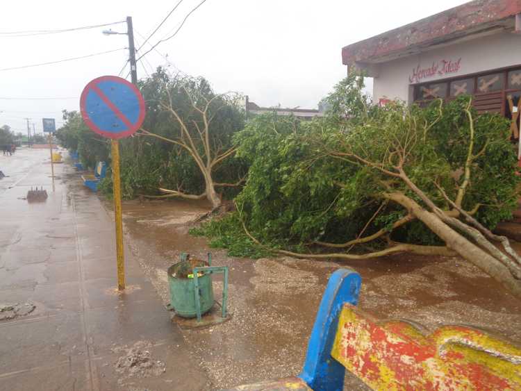 Irma ocasionó innumerables daños en el municipio.