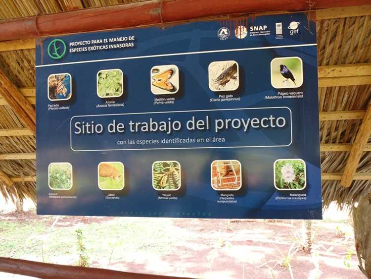 Sitio del proyecto para el manejo de especies invasoras.