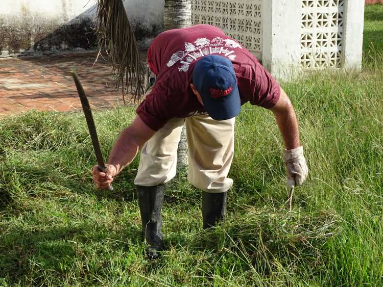 Trabajador de la salud en jornada de limpieza.