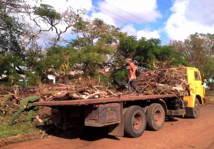 Trabajadores de Comunales en plena faena.
