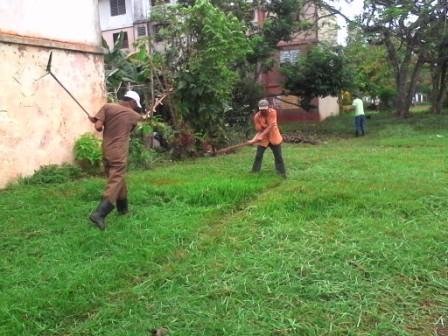 Trabajadores de Comunales inmersos en tareas de chapea.