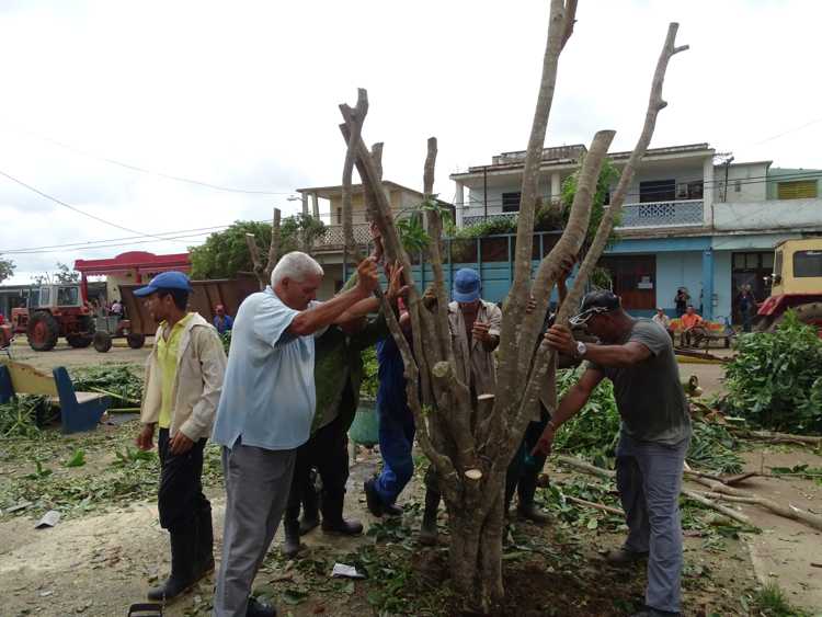 Trabajadores de Comunales restauran el ornato público./Foto: Autora