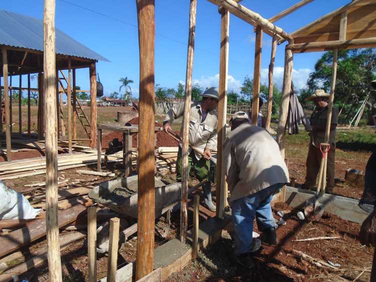Trabajadores de la Empresa de Cítrico se integran a la construcción de viviendas.