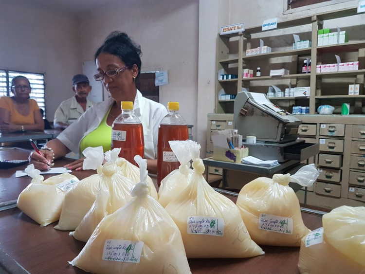 Venta de medicina natural con impacto en la calidad de vida de los cubiteños