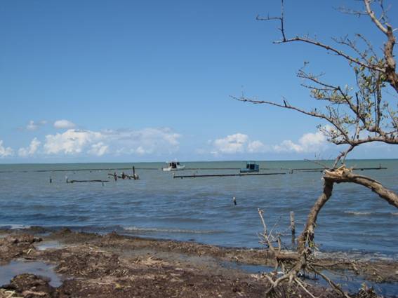 Vista actual de playa La Guanaja, municipio de Esmeralda Camagüey.