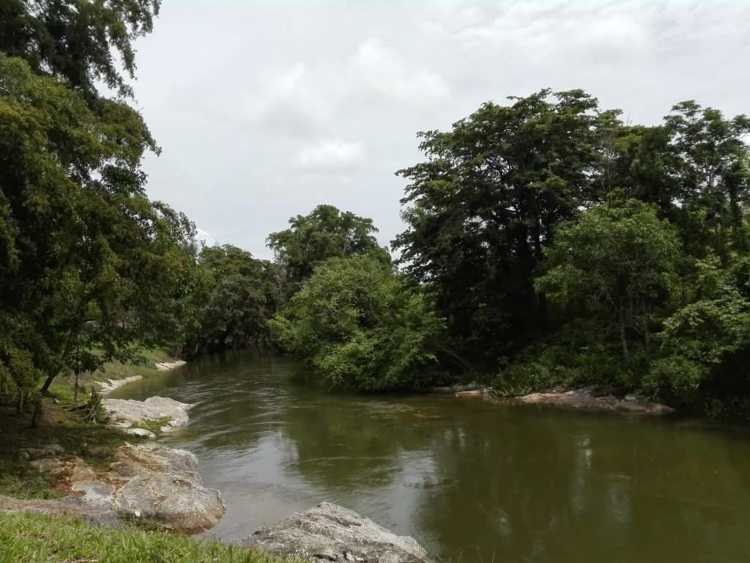 Foto: Autora