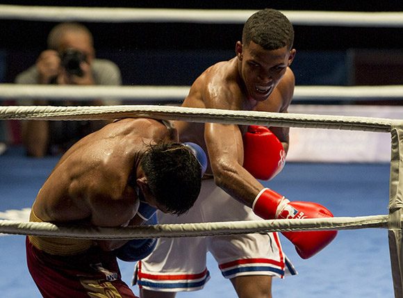 domadores de cuba boxeo 5 580x429