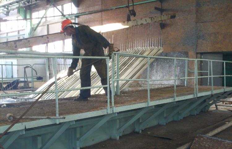 Foto: Trabajadores
