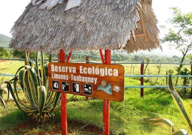 Foto: Archivo